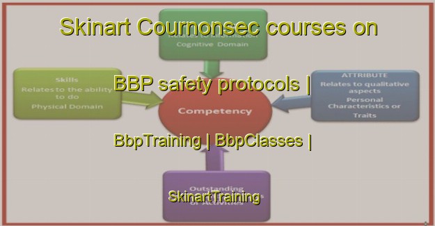 Skinart Cournonsec courses on BBP safety protocols | BbpTraining | BbpClasses | SkinartTraining-France
